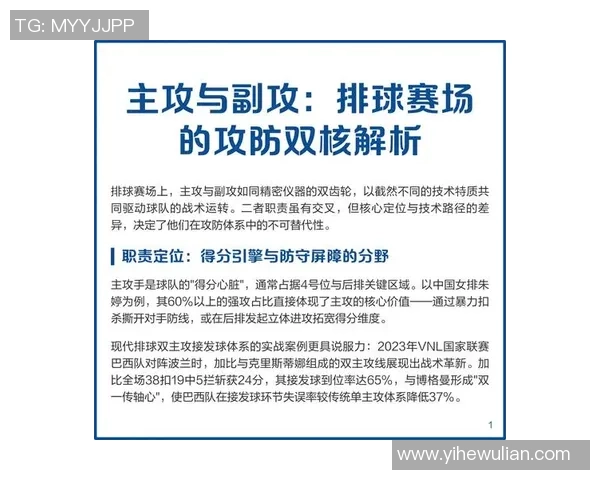 杭州排球队的战术演变与球员转换深度解析 杭州排球队的战术演变与球员转换深度解析